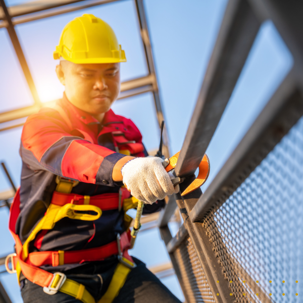 Fall Protection: Why It Is Important for Workplace Safety