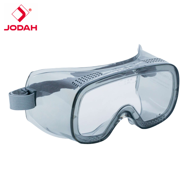 DELTA PLUS MURIA 1 Safety Goggles